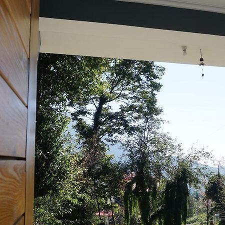 Angela'S Boutique Homes Dharamkot 다람샬라 외부 사진