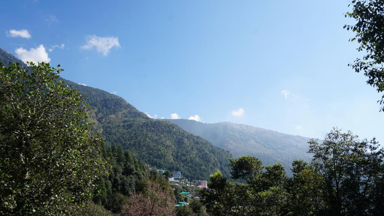 Angela'S Boutique Homes Dharamkot 다람샬라 외부 사진