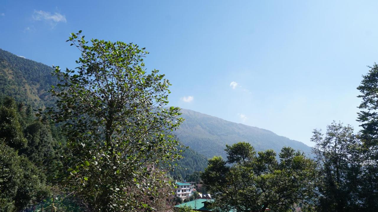 Angela'S Boutique Homes Dharamkot 다람샬라 외부 사진